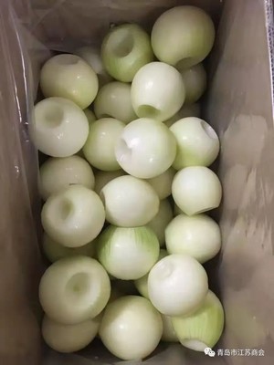 【苏商时讯】青岛禾润达食品将洋葱供上了北京冬残奥会的餐桌