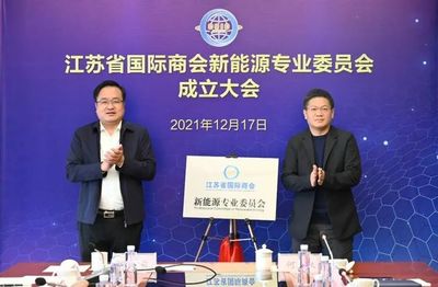 江苏省国际商会新能源专业委员会挂牌成立