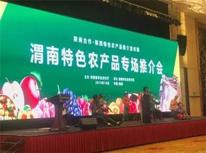 陕闽合作渭南特色农产品推介会 山东商会与江苏商会共推区域经济协同发展